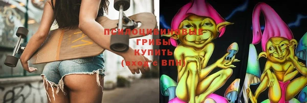 бошки Медногорск