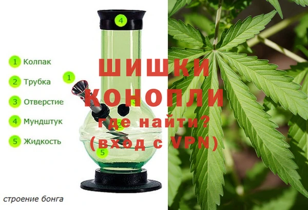 бошки Медногорск