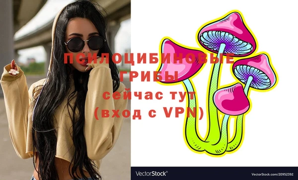 соль курить ск Медвежьегорск